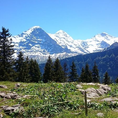 Berghaus Hintisberg Otel Lütschenthal Dış mekan fotoğraf