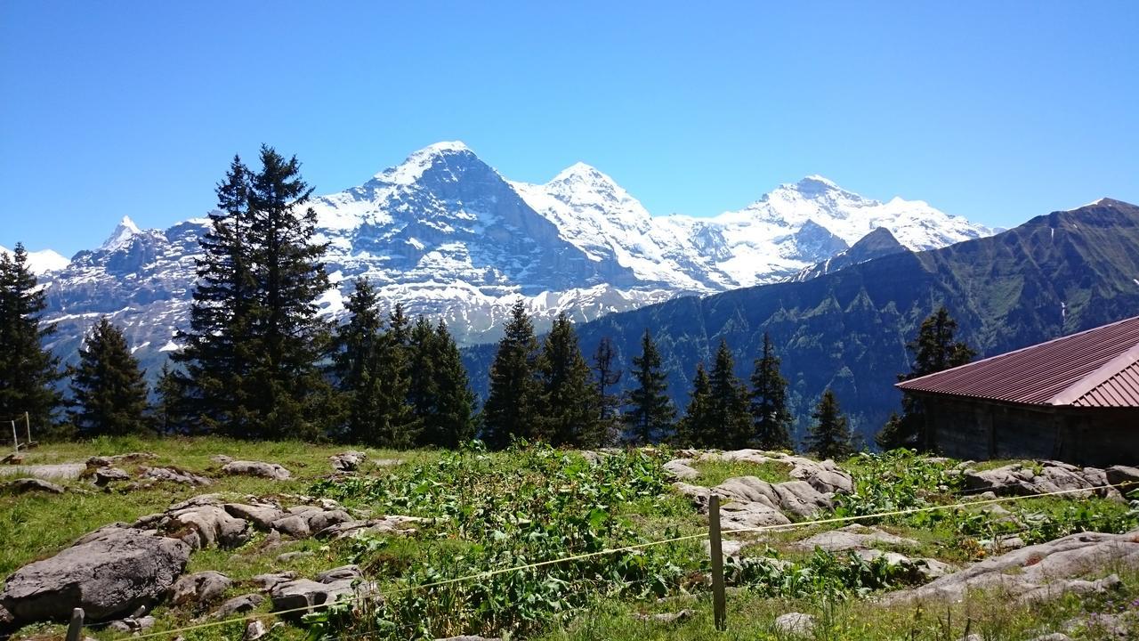 Berghaus Hintisberg Otel Lütschenthal Dış mekan fotoğraf